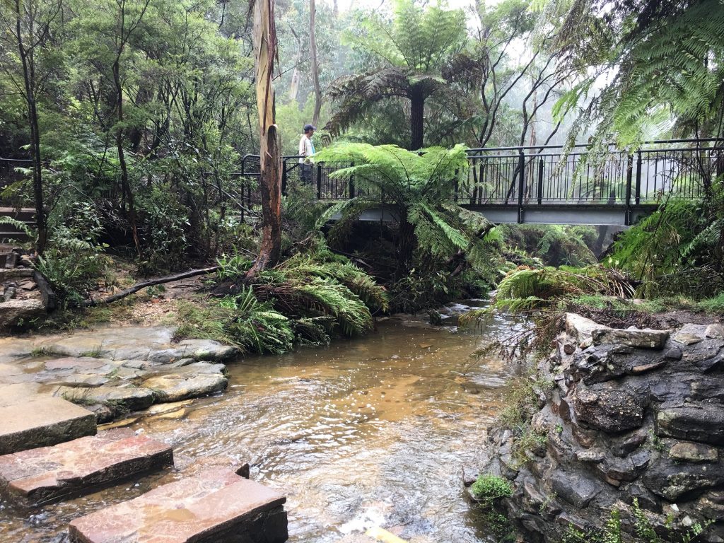 Blue Mountains (Aust)