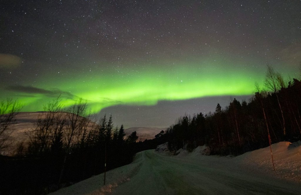 image of the green northern lights at night. The landscape is a snow covered road leading through a forest with mountains on the left side