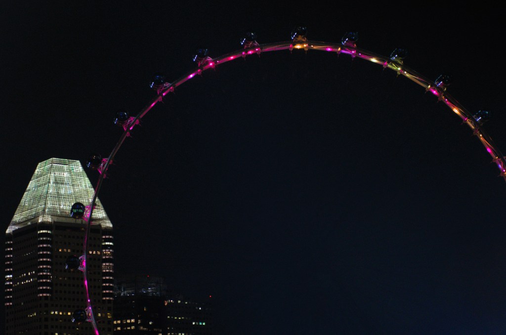 image of the ferris wheel lit up at night in singapore.
