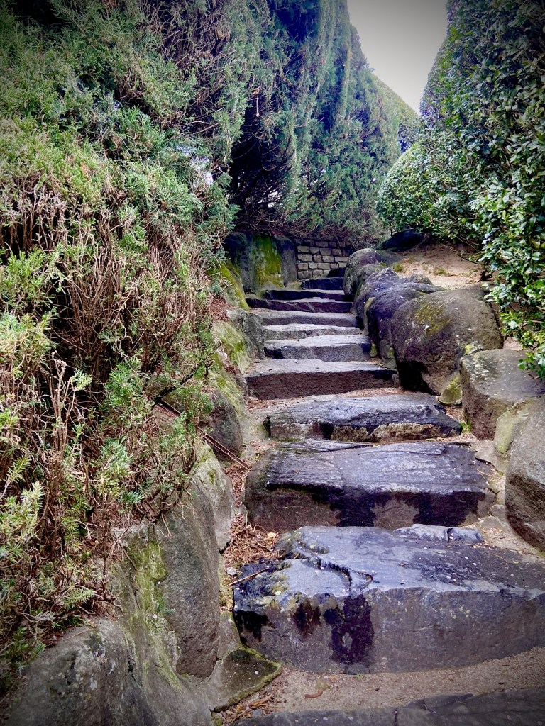image of stone steps with a gradual incline, leading up a hedged path through the gardens