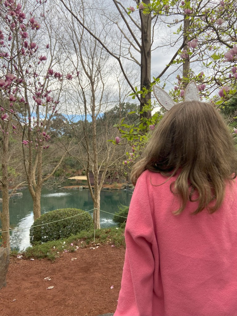 image of a young girl in a pink jacket looking at the lake and trees on the sydney cherry blossom trail